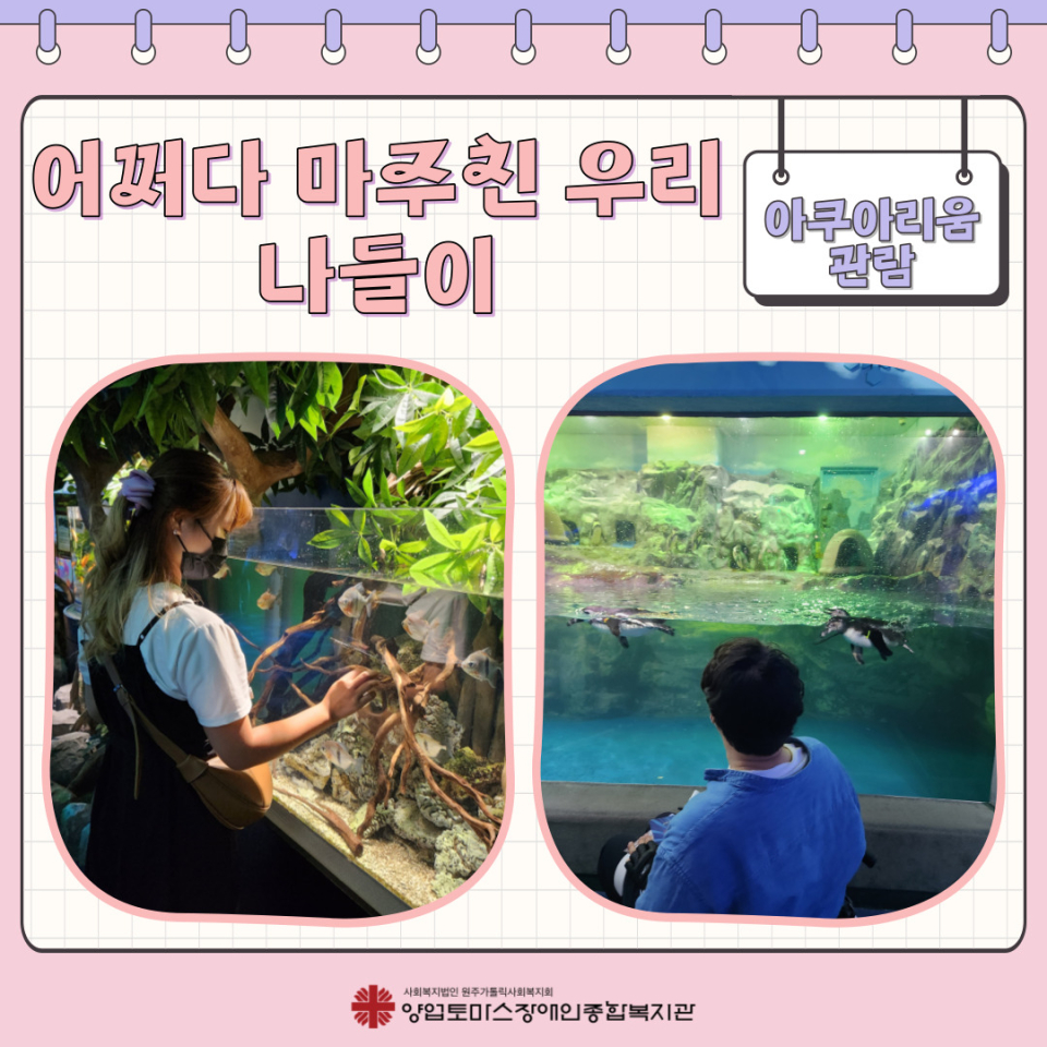 2ed991a8abea37f508ff82a72ddfa997_1684736621_6516.jpg